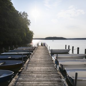 Steg am Stechlinsee